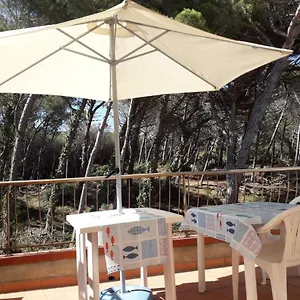 https://bibbona-summer.it-tuscanyhotel.com